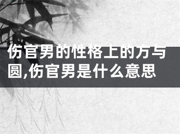伤官男的性格上的方与圆,伤官男是什么意思
