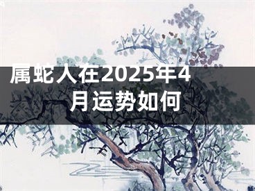 属蛇人在2025年4月运势如何