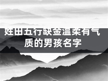 姓田五行缺金温柔有气质的男孩名字