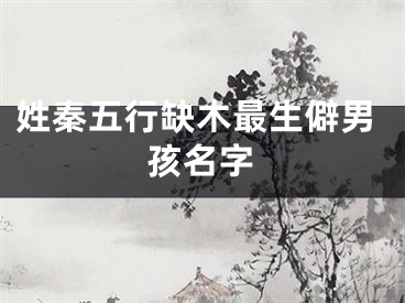 姓秦五行缺木最生僻男孩名字