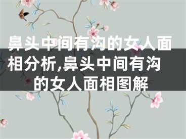 鼻头中间有沟的女人面相分析,鼻头中间有沟的女人面相图解