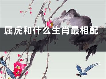 属虎和什么生肖最相配 