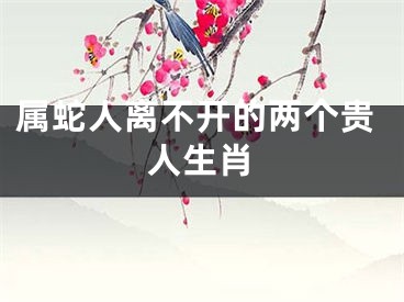 属蛇人离不开的两个贵人生肖