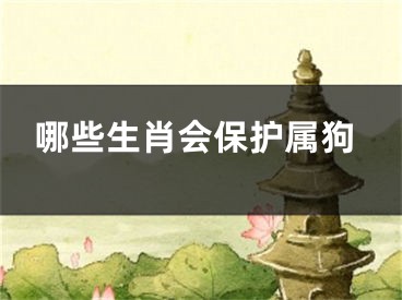 哪些生肖会保护属狗