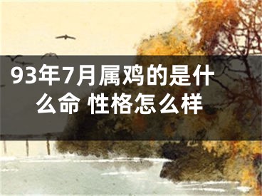 93年7月属鸡的是什么命 性格怎么样