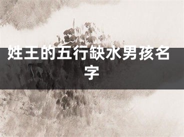 姓王的五行缺水男孩名字