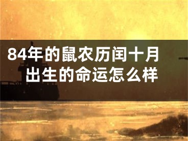 84年的鼠农历闰十月出生的命运怎么样
