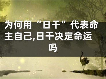 为何用“日干”代表命主自己,日干决定命运吗