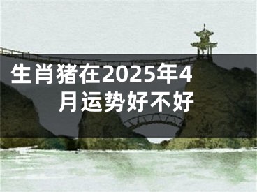 生肖猪在2025年4月运势好不好