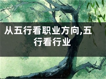 从五行看职业方向,五行看行业