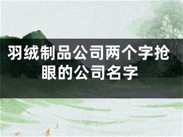 羽绒制品公司两个字抢眼的公司名字