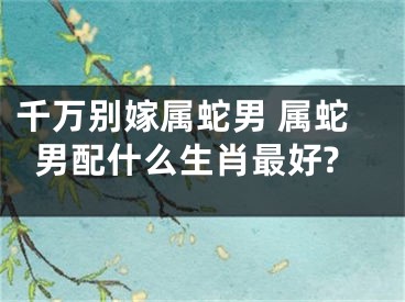千万别嫁属蛇男 属蛇男配什么生肖最好?