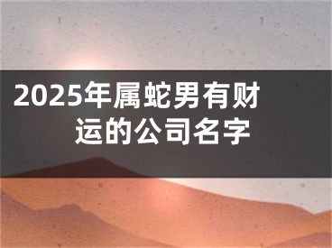 2025年属蛇男有财运的公司名字