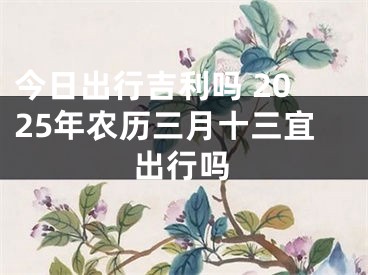 今日出行吉利吗 2025年农历三月十三宜出行吗