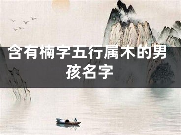 含有楠字五行属木的男孩名字