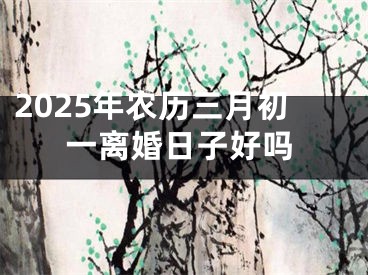 2025年农历三月初一离婚日子好吗