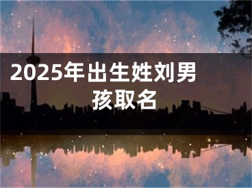 2025年出生姓刘男孩取名