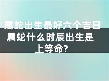 属蛇出生最好六个吉日 属蛇什么时辰出生是上等命?