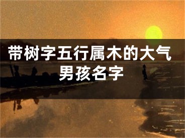 带树字五行属木的大气男孩名字