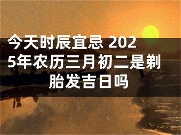 今天时辰宜忌 2025年农历三月初二是剃胎发吉日吗