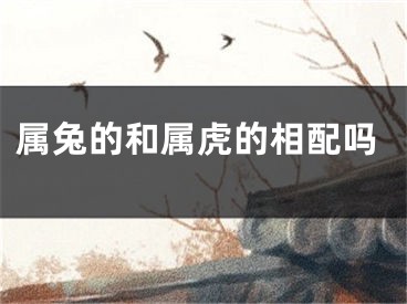 属兔的和属虎的相配吗