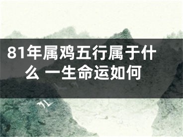 81年属鸡五行属于什么 一生命运如何