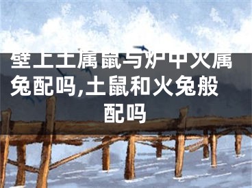 壁上土属鼠与炉中火属兔配吗,土鼠和火兔般配吗