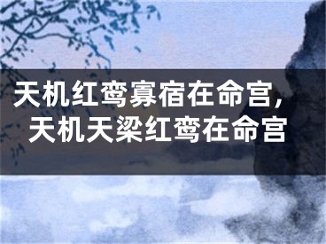 天机红鸾寡宿在命宫,天机天梁红鸾在命宫