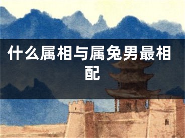 什么属相与属兔男最相配