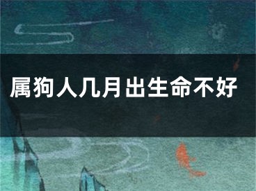 属狗人几月出生命不好
