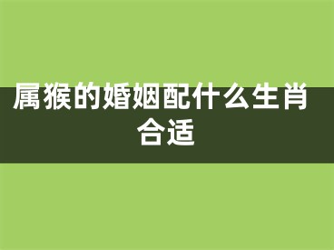 属猴的婚姻配什么生肖合适