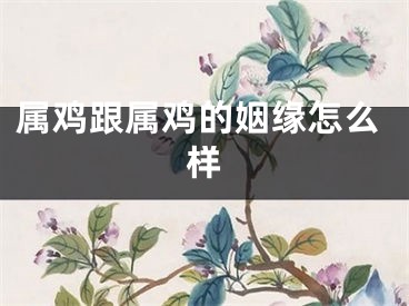 属鸡跟属鸡的姻缘怎么样