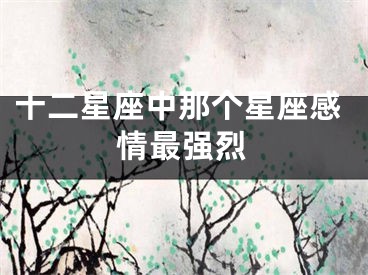 十二星座中那个星座感情最强烈