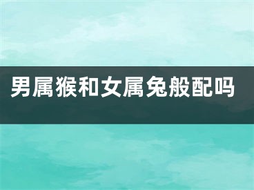 男属猴和女属兔般配吗