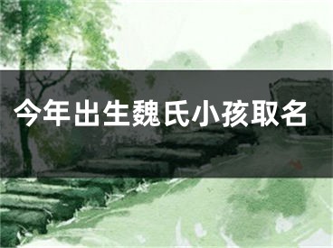 今年出生魏氏小孩取名