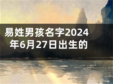 易姓男孩名字2024年6月27日出生的