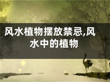 风水植物摆放禁忌,风水中的植物