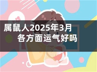 属鼠人2025年3月各方面运气好吗