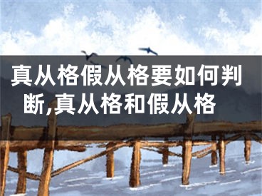 真从格假从格要如何判断,真从格和假从格