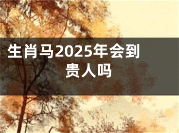 生肖马2025年会到贵人吗