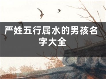 严姓五行属水的男孩名字大全