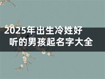 2025年出生冷姓好听的男孩起名字大全