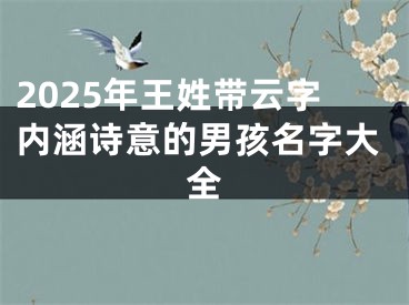 2025年王姓带云字内涵诗意的男孩名字大全
