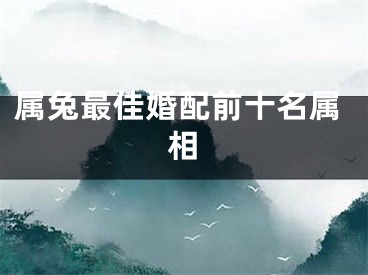 属兔最佳婚配前十名属相
