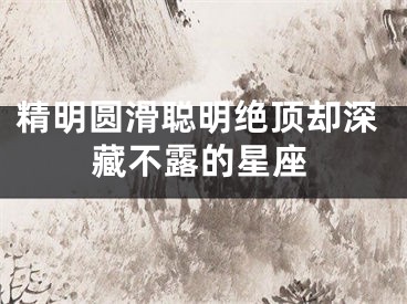 精明圆滑聪明绝顶却深藏不露的星座
