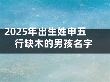 2025年出生姓申五行缺木的男孩名字