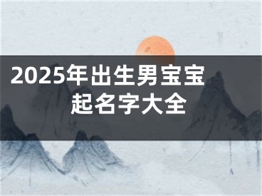 2025年出生男宝宝起名字大全