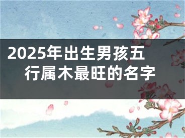 2025年出生男孩五行属木最旺的名字