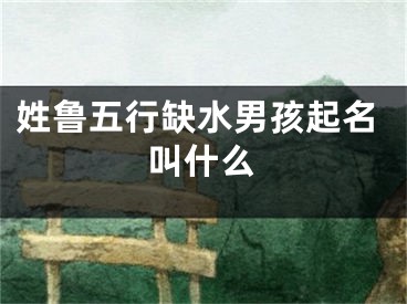 姓鲁五行缺水男孩起名叫什么