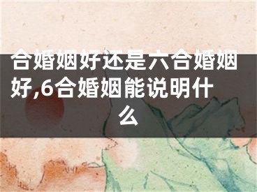 合婚姻好还是六合婚姻好,6合婚姻能说明什么